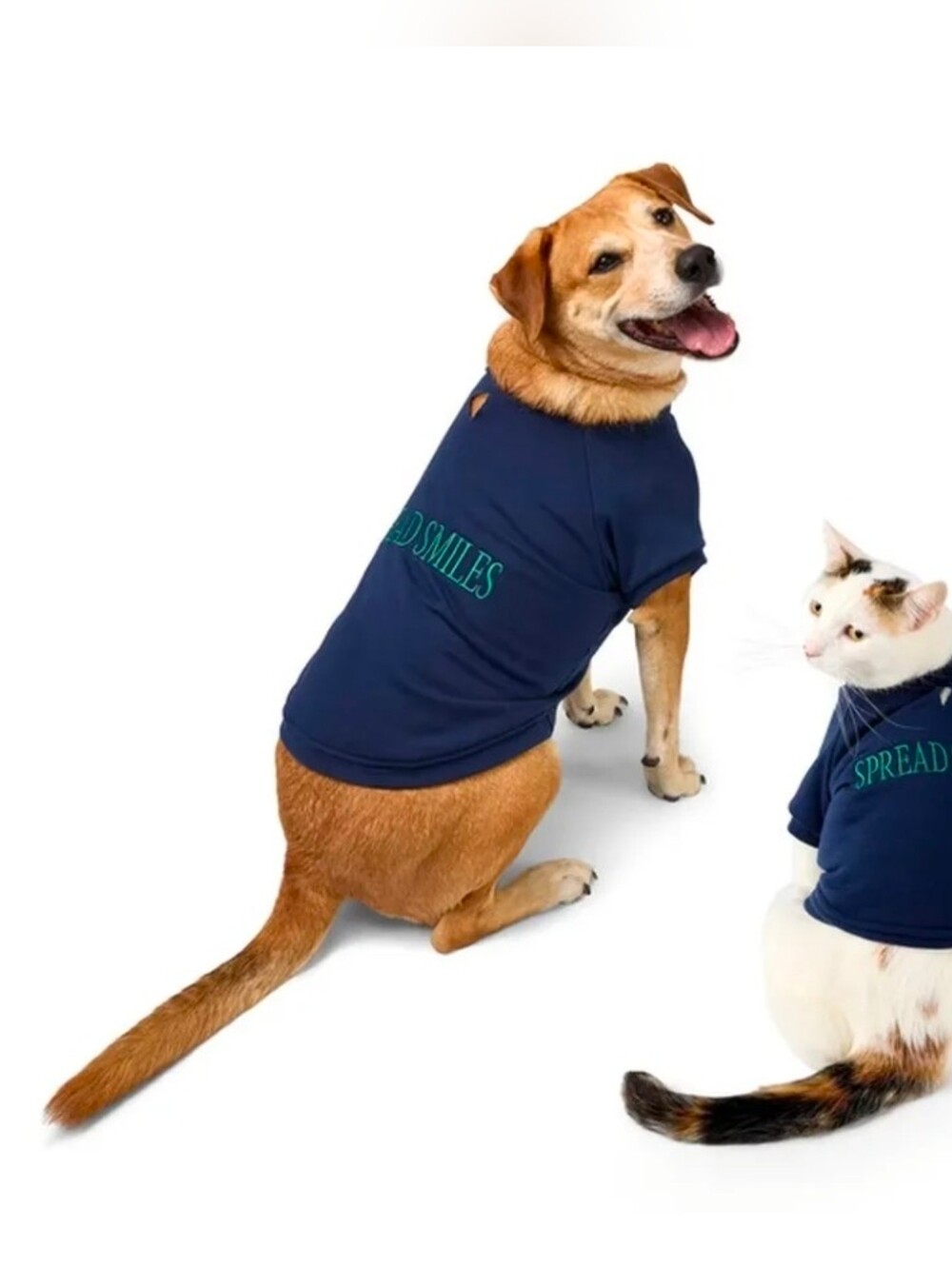 The Cuddle Collab Ellie & Emma Dog & Cat Spread Smiles Graphic Sweatshirt